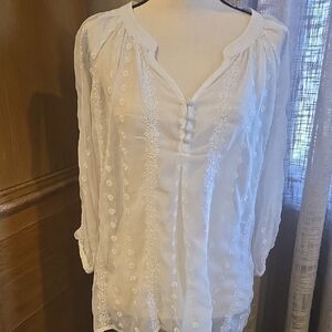 Beautiful Sheer White Embroderied blouse